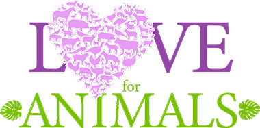 Love Animals - Logo